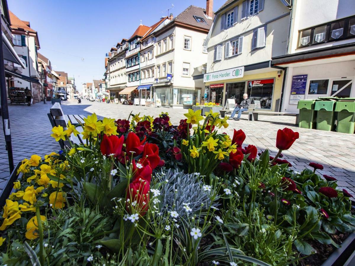 Ferienwohnung Innenstadt 奥伯基希 外观 照片